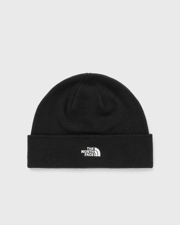 Norm Shallow Beanie