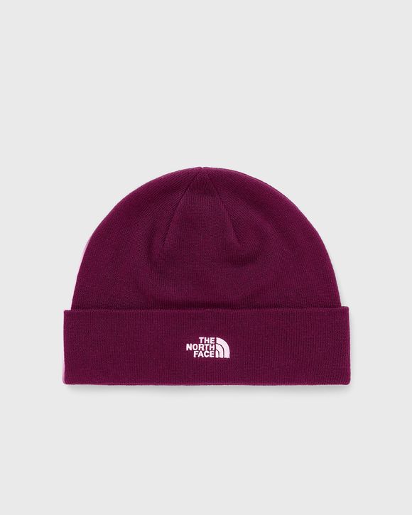 The North Face Norm Beanie Red | BSTN Store