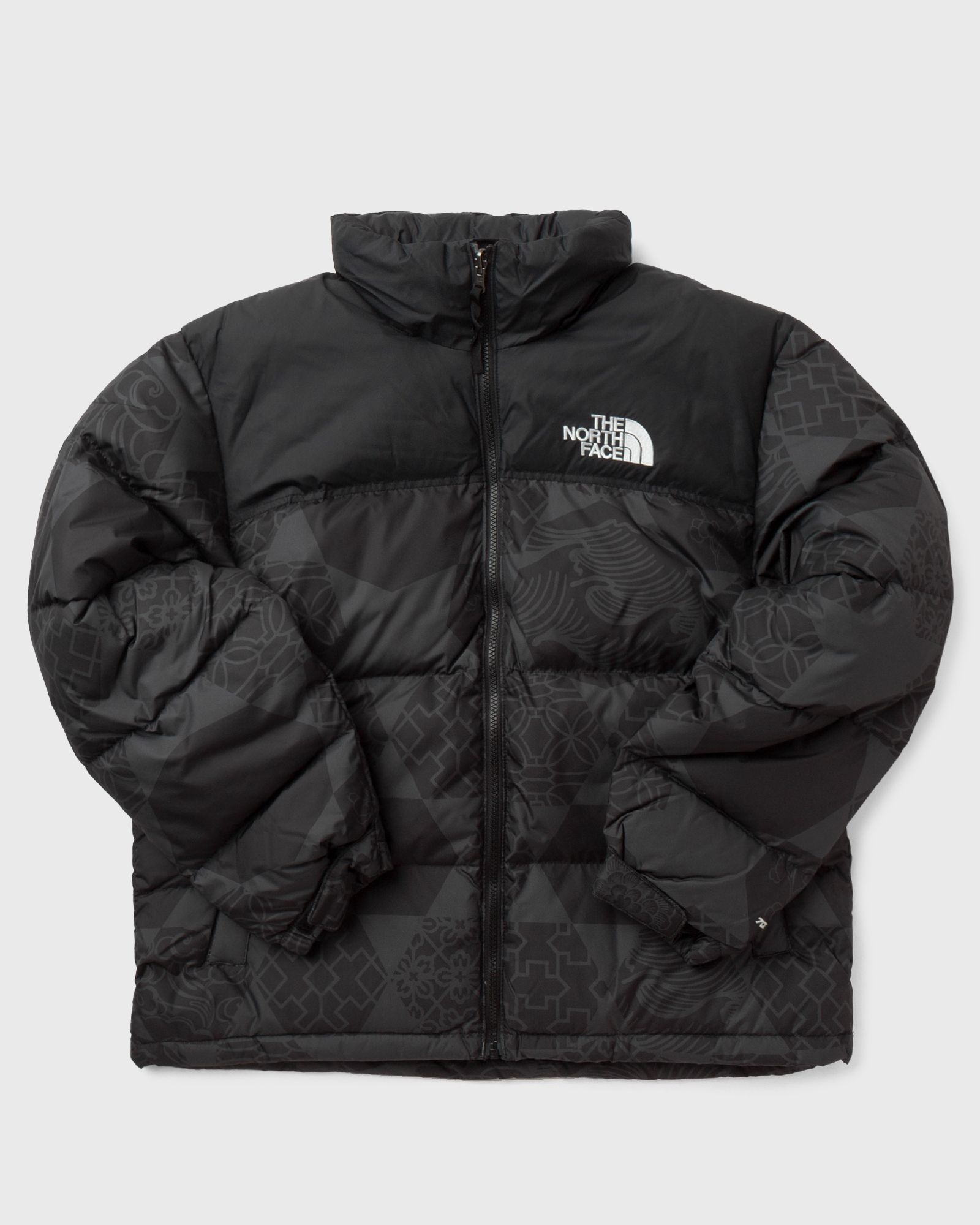 Printed 1996 Retro Nuptse Jacket