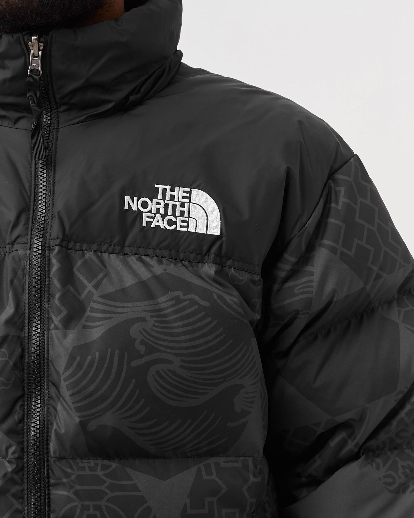 Printed 1996 Retro Nuptse Jacket