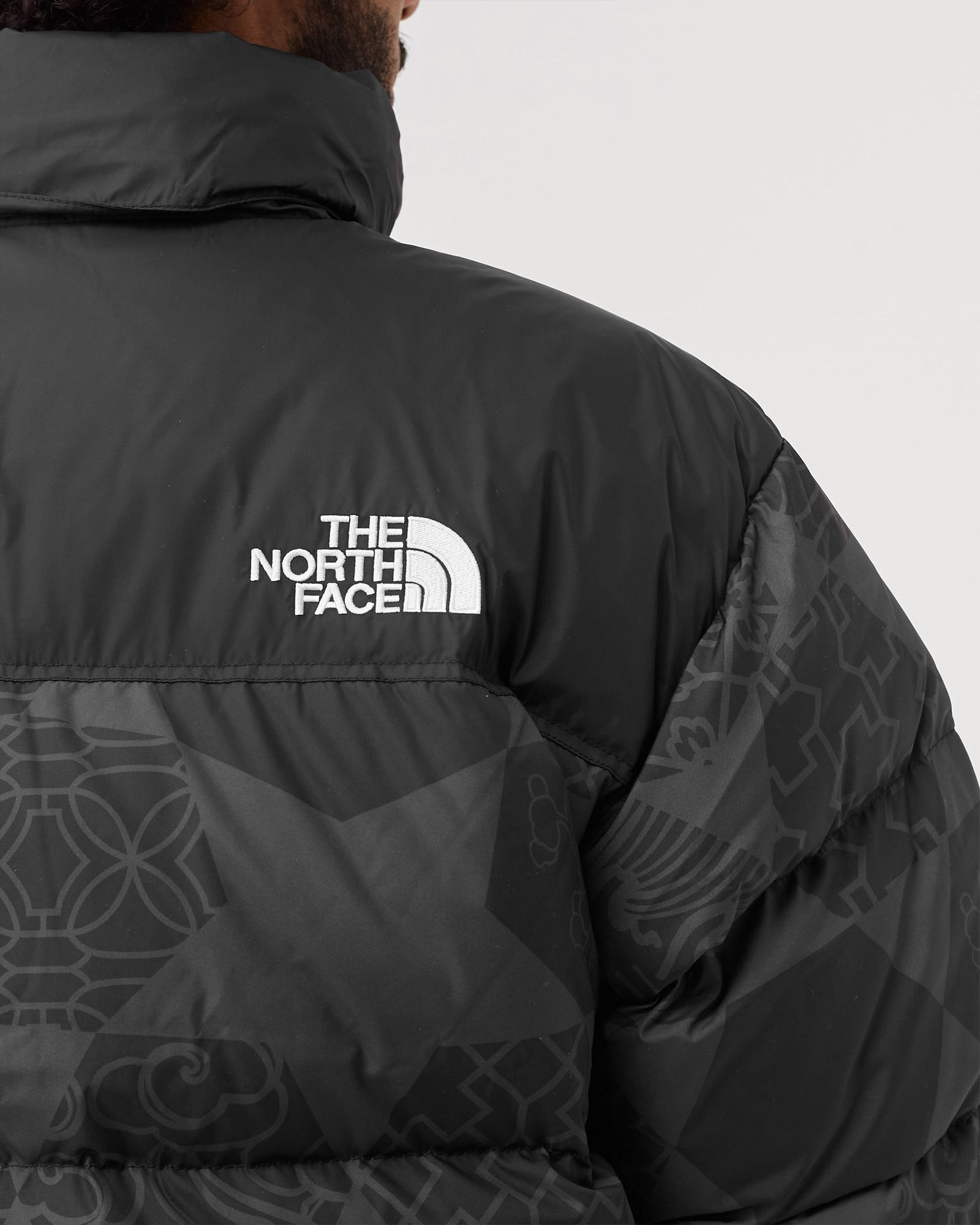 Printed 1996 Retro Nuptse Jacket
