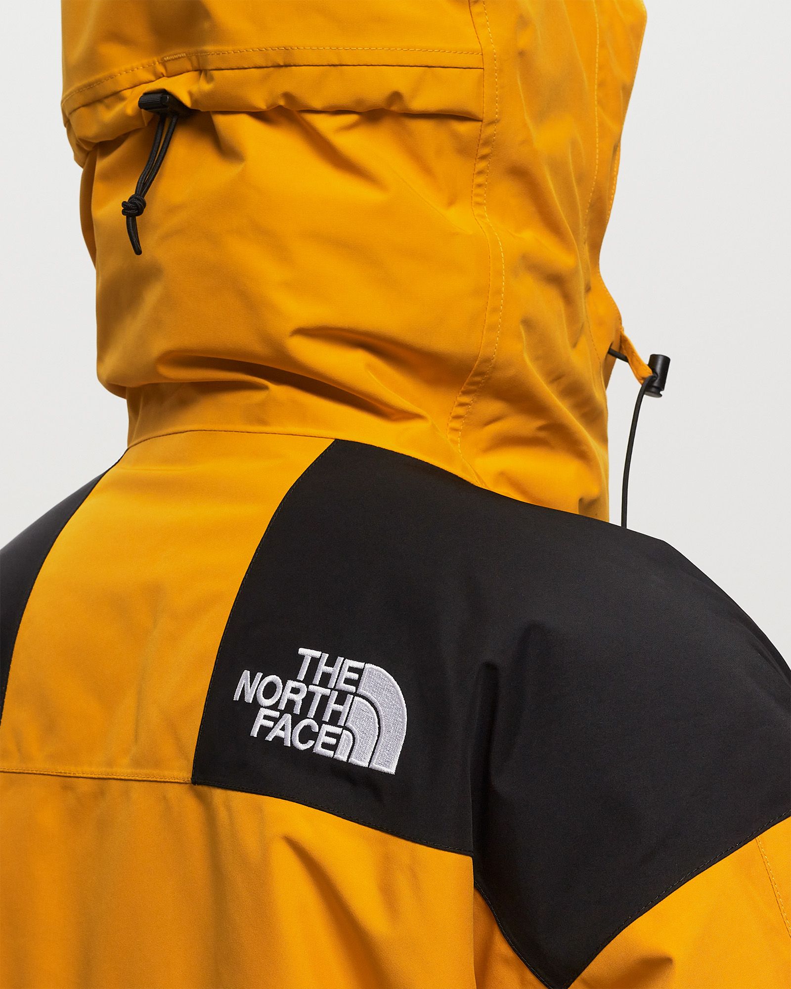 GTX Mtn Guide Insualted Jacket