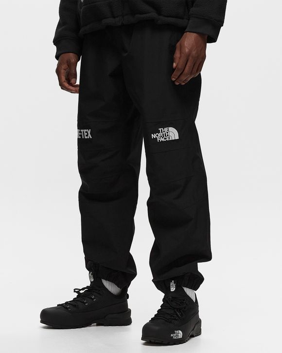 The North Face GTX Mountain Pant Black - tnf black