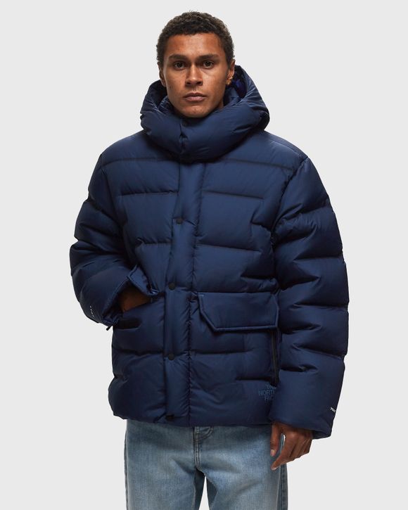 The north face store down sierra parka