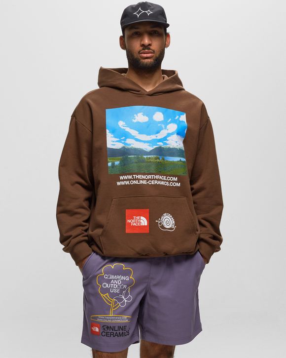 The North Face TNF X ONLINE CERAMICS P/O HOODIE Brown - EARTH BROWN