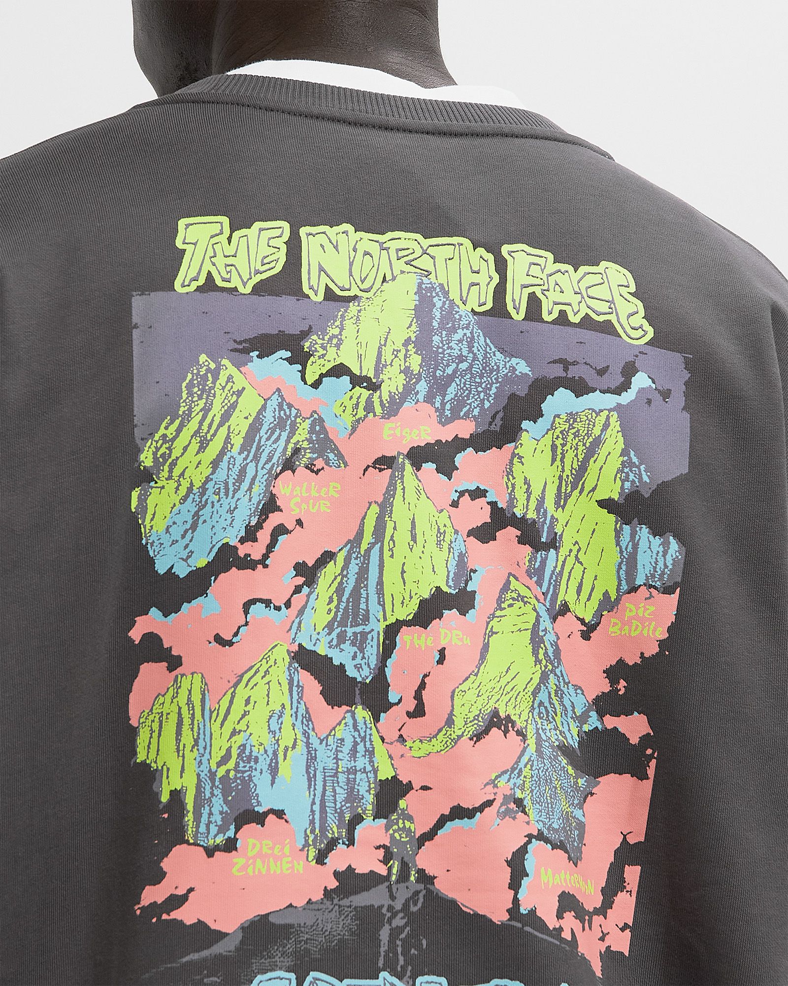 EXPEDITION CELEBRATION OVRSZD CREW SWS