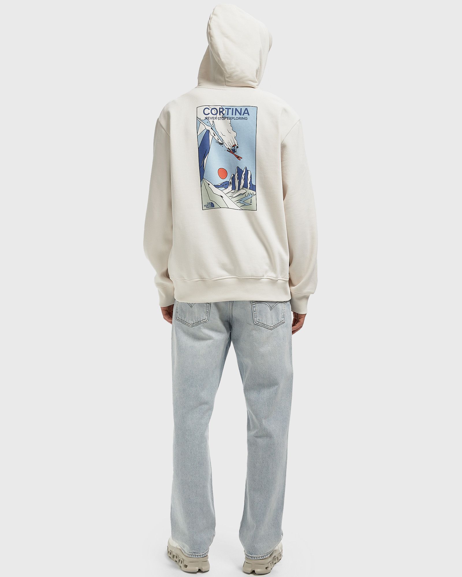 MOUNTAIN CELEBRATION RELAXED HOODIE-GR