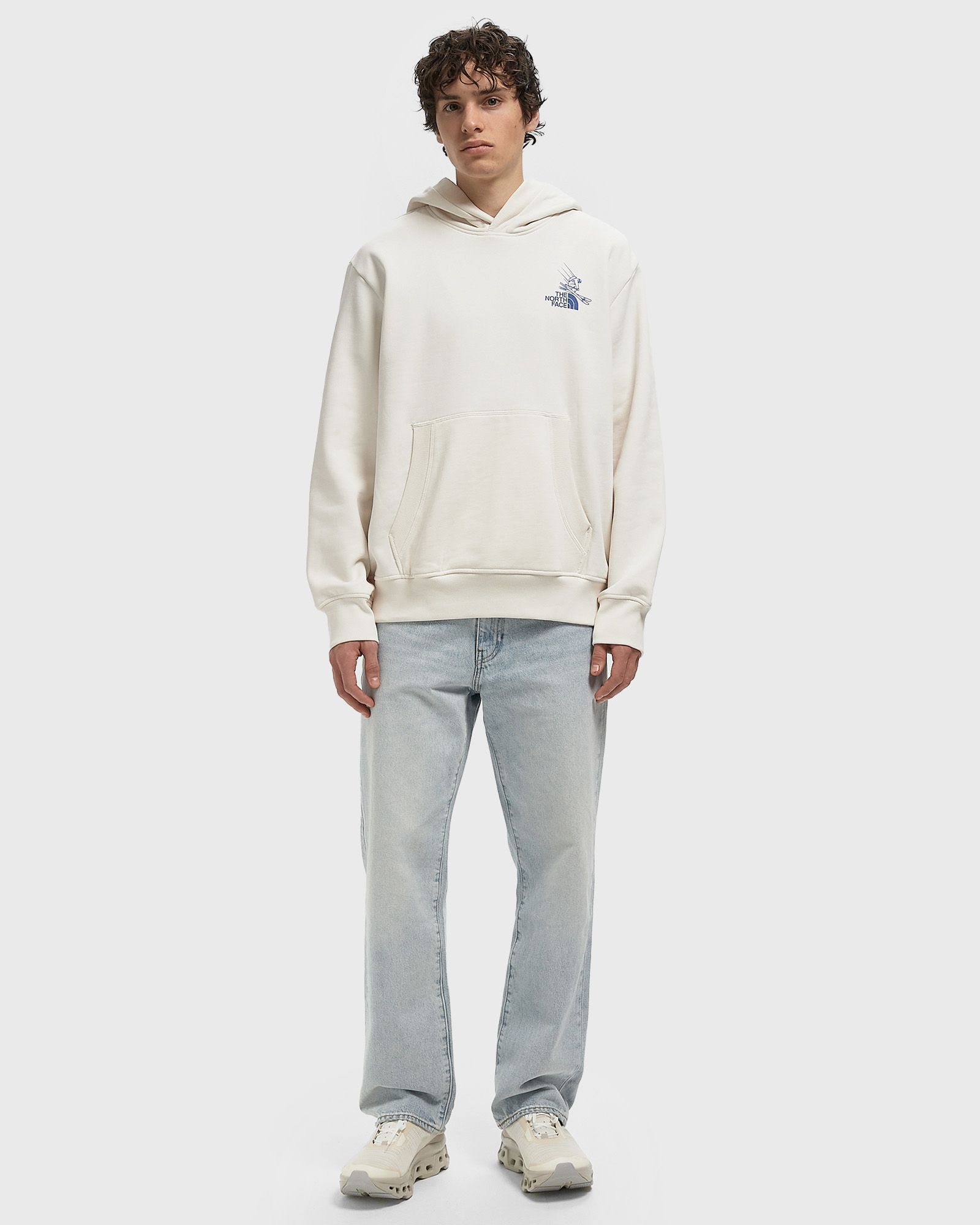 MOUNTAIN CELEBRATION RELAXED HOODIE-GR