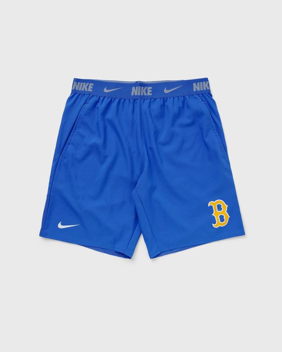Memphis Grizzlies Icon Edition Men's Nike NBA Swingman Shorts. Nike RO