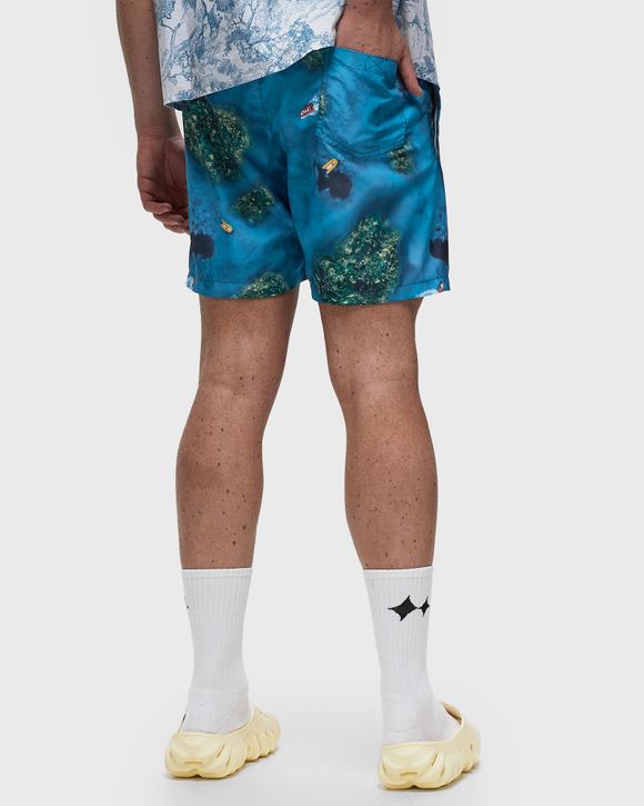 V-INUVIK SHORTS