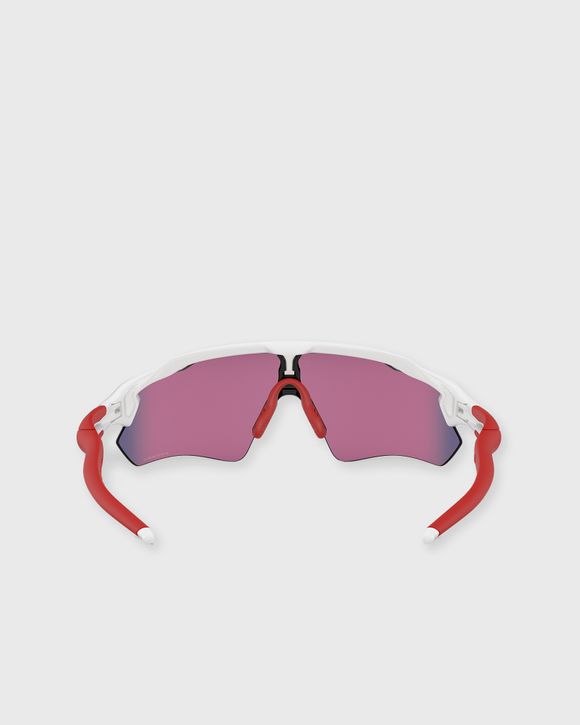 Radar Polished Sunglasses