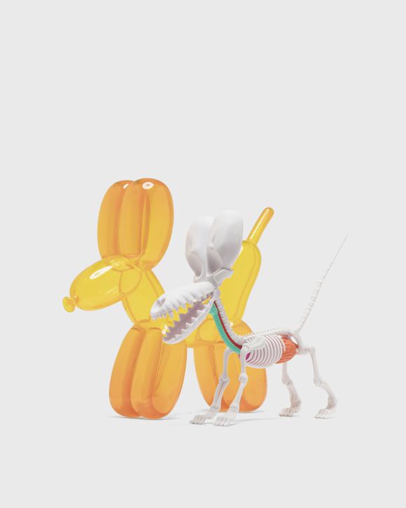 Funny Anatomy Balloon Dog (Honey Edition)