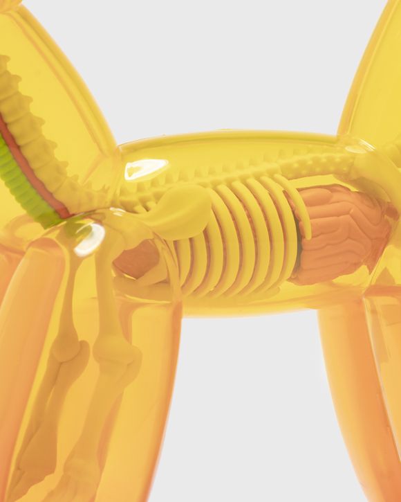 Funny Anatomy Balloon Dog (Honey Edition)