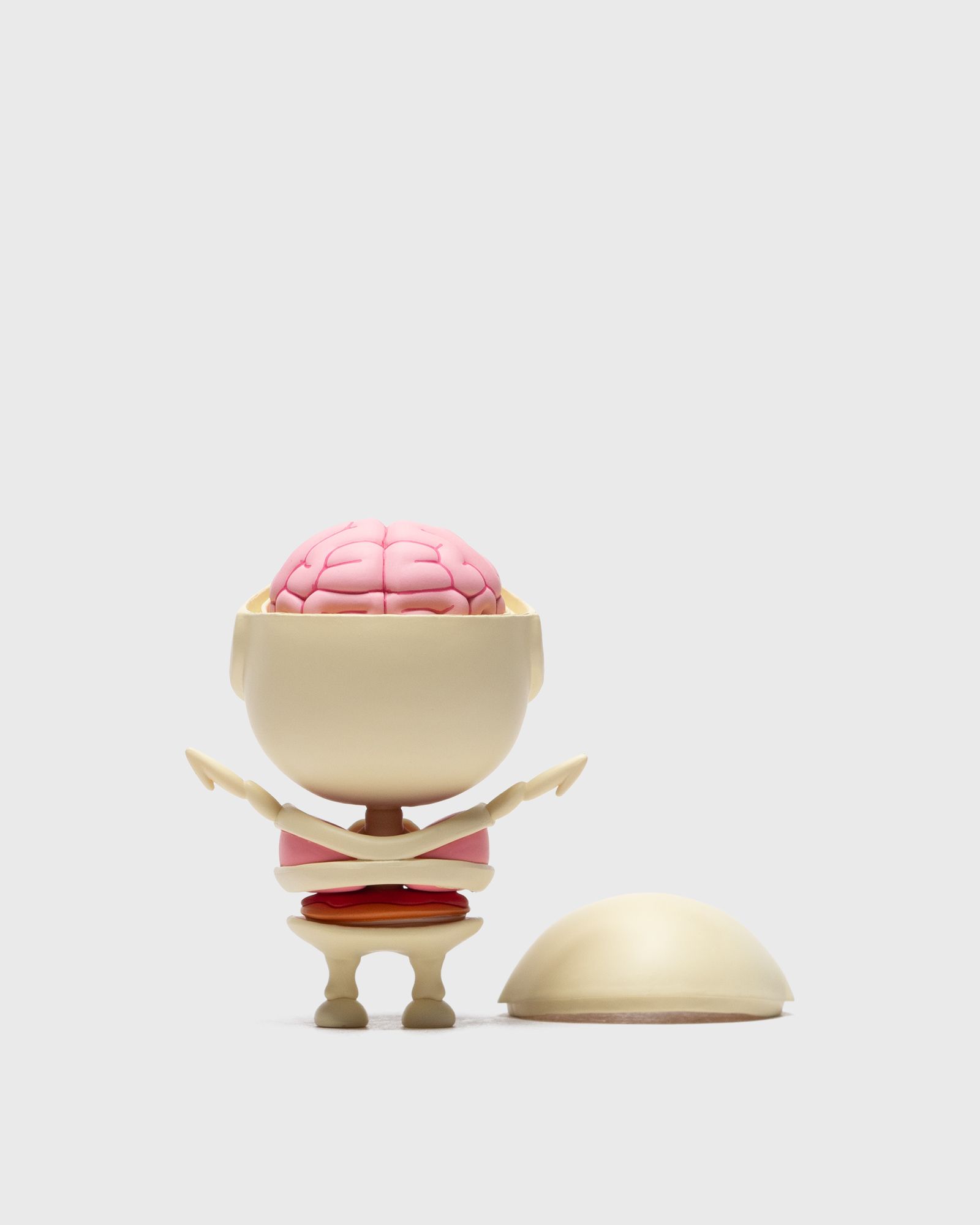 Funny Anatomy Line Friends: Sally