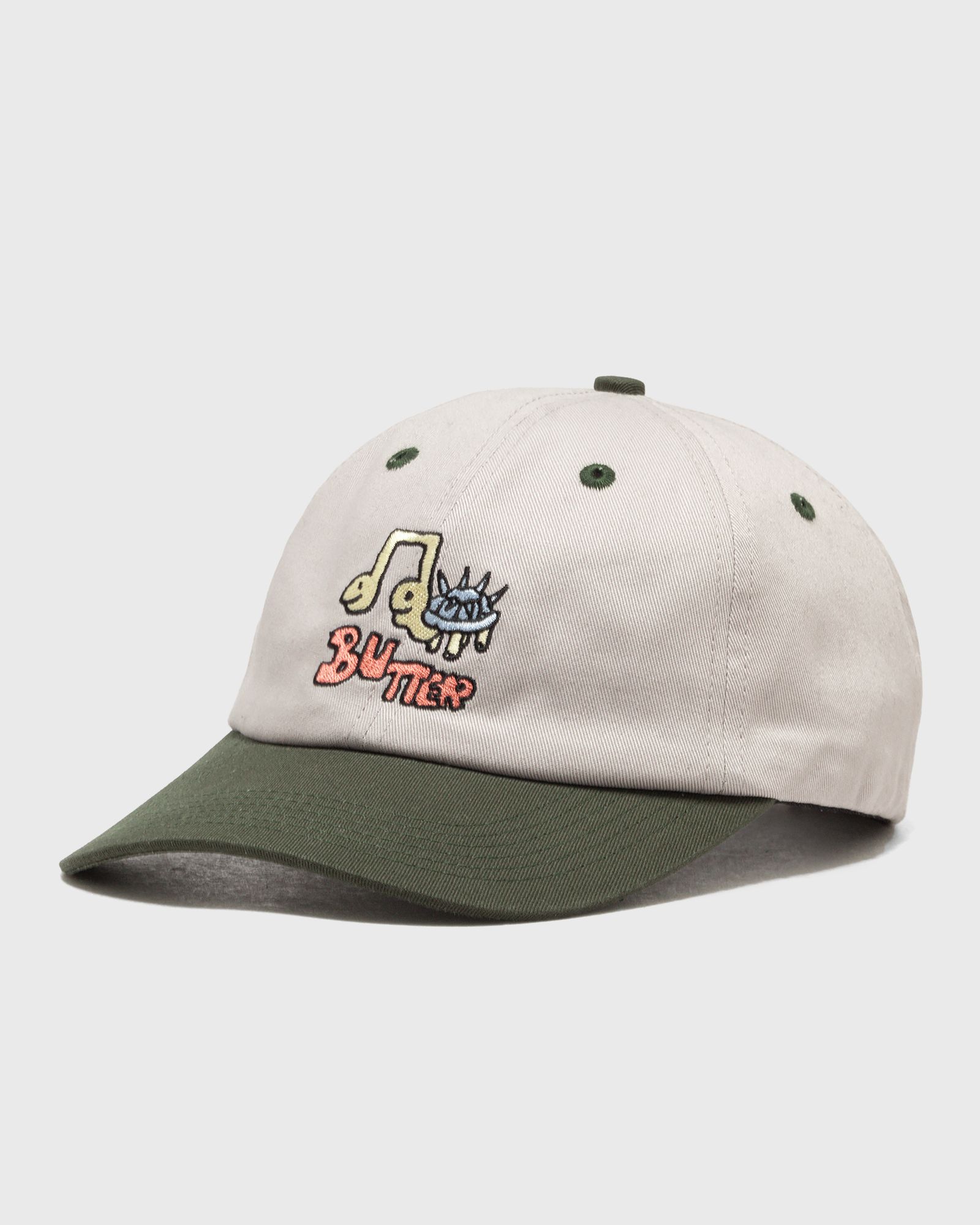 Turtle 6 Panel Cap