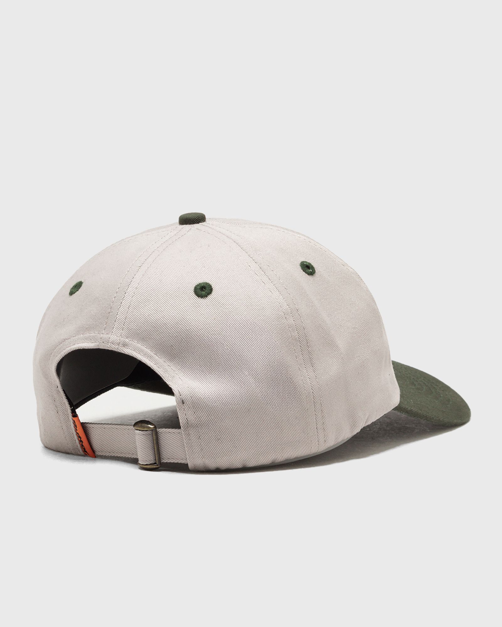 Turtle 6 Panel Cap