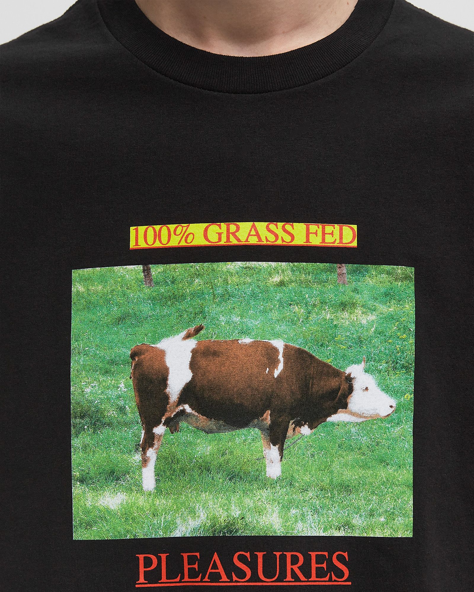 GRASS FED TEE
