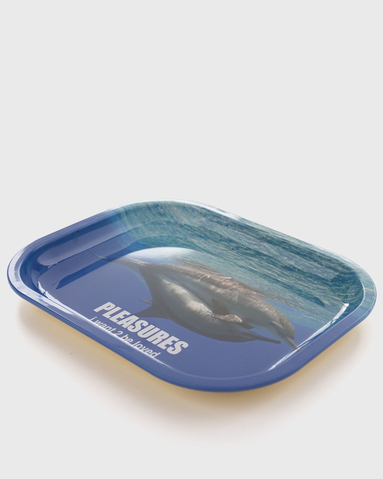 DOLPHINS METAL TRAY