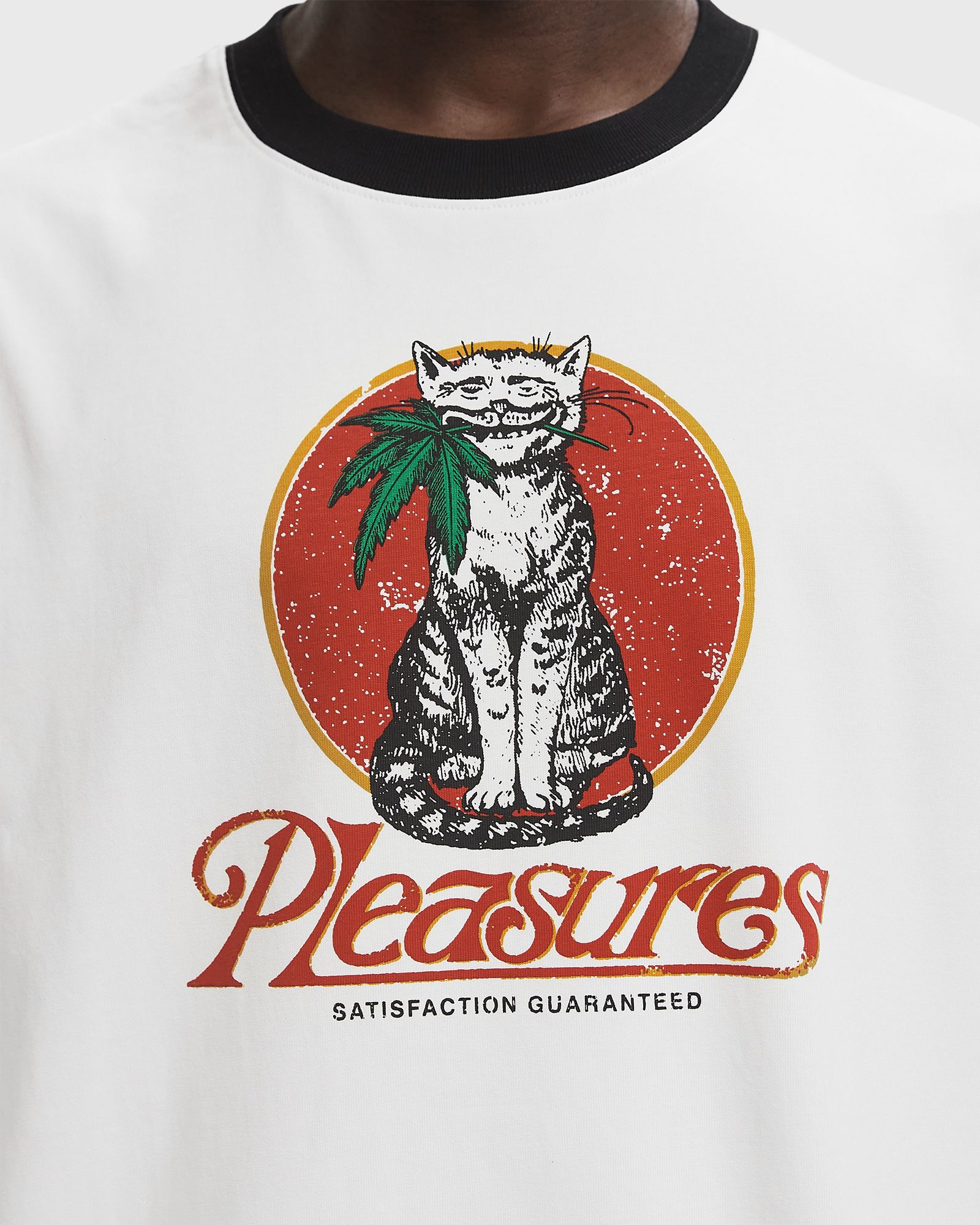 CAT HEAVYWEIGHT RINGER