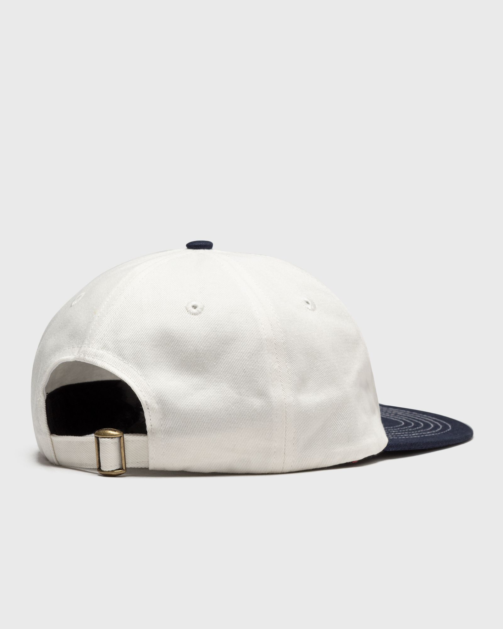 Windflowers 6 Panel Cap