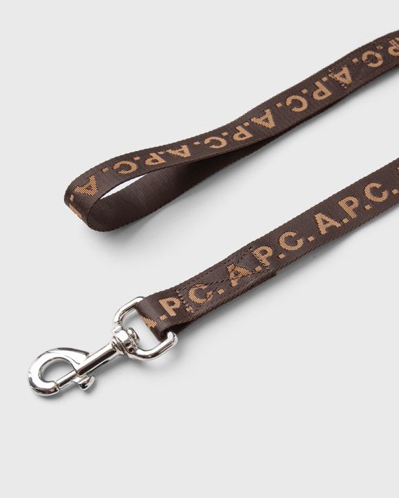 Thumbnail - Laisse chien APC