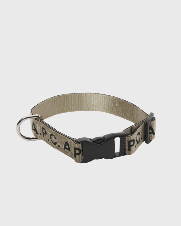 DOG COLLAR