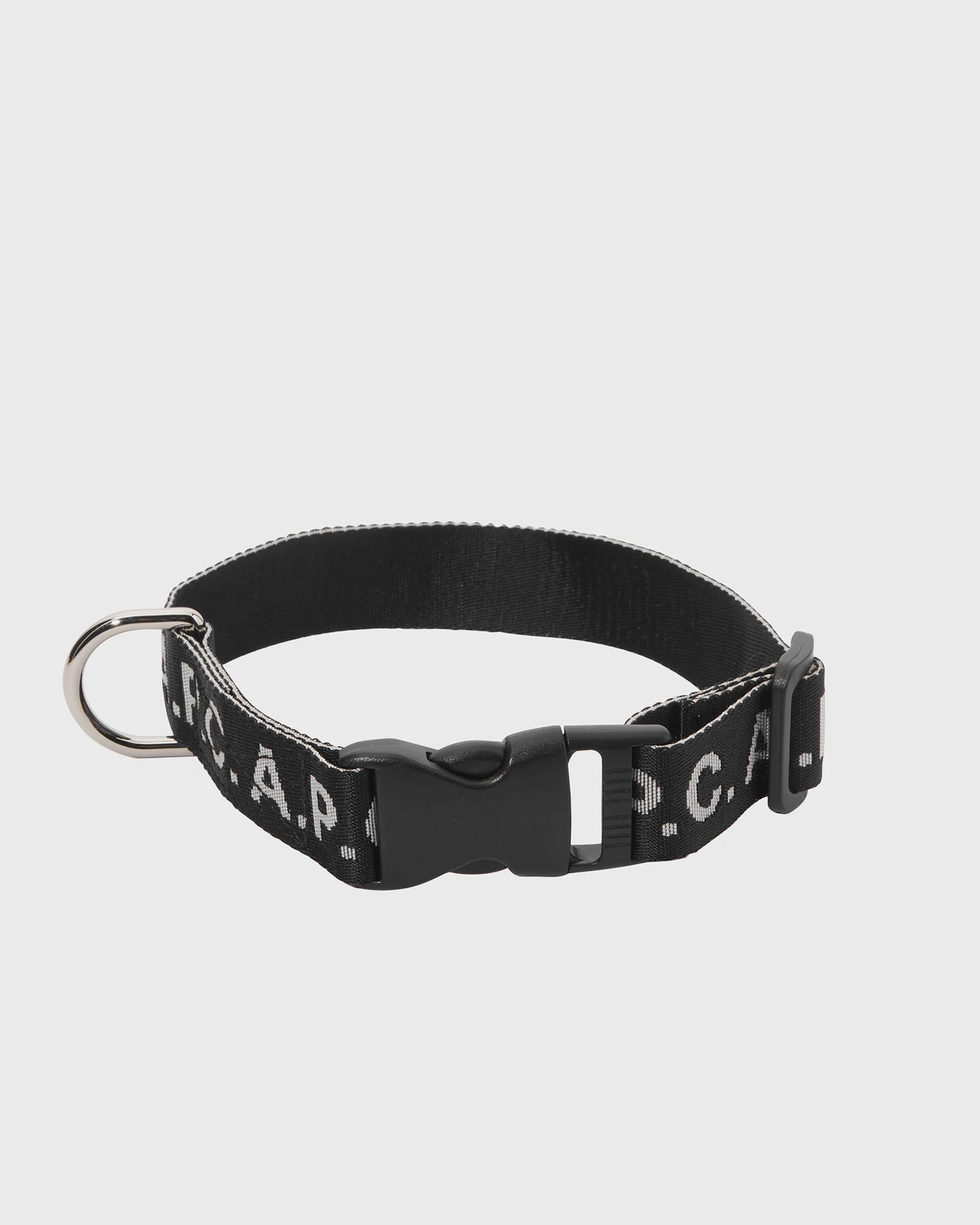 DOG COLLAR