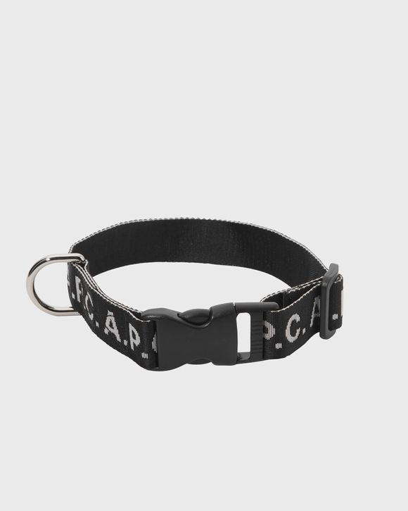 DOG COLLAR