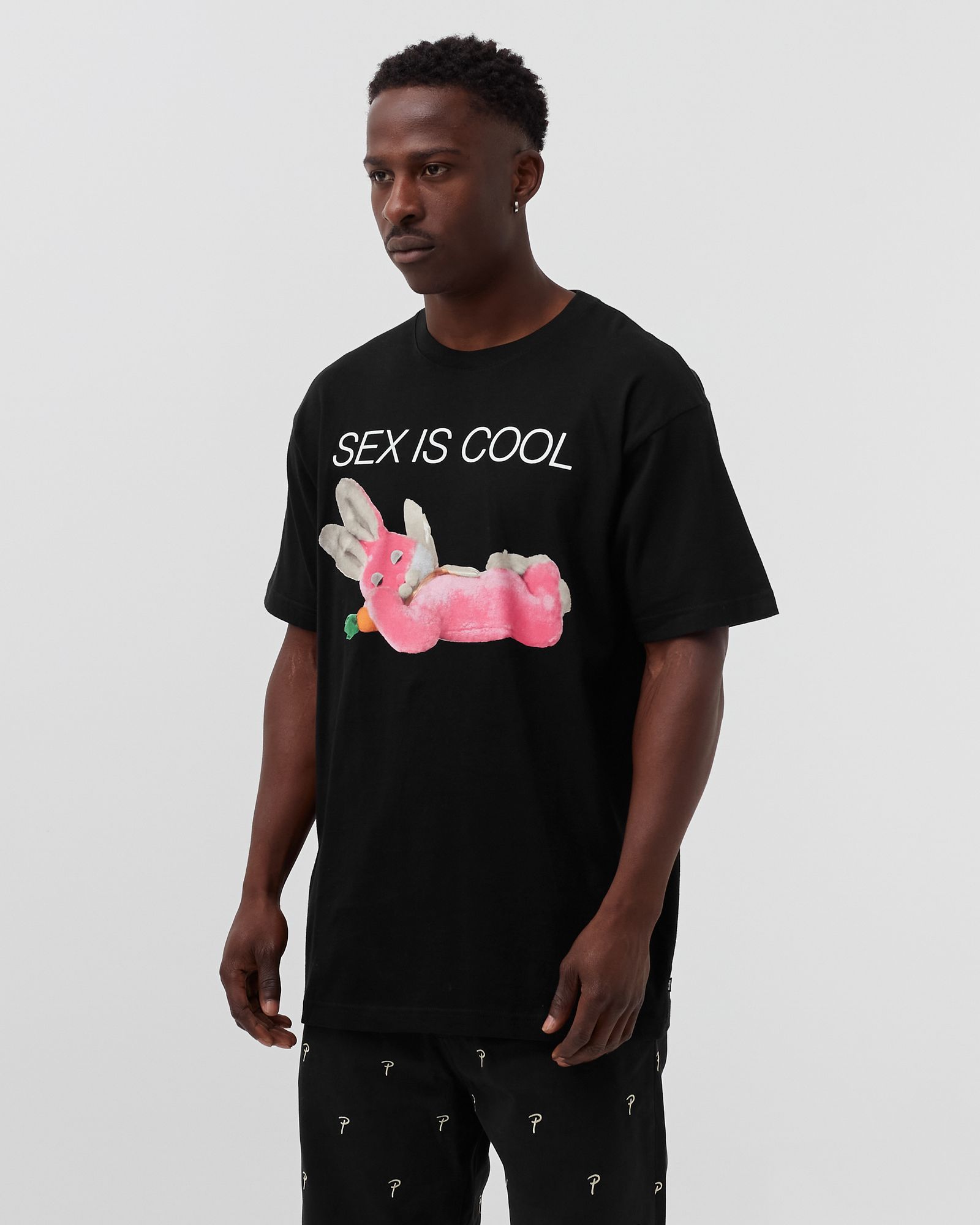 Sex is Cool Tee