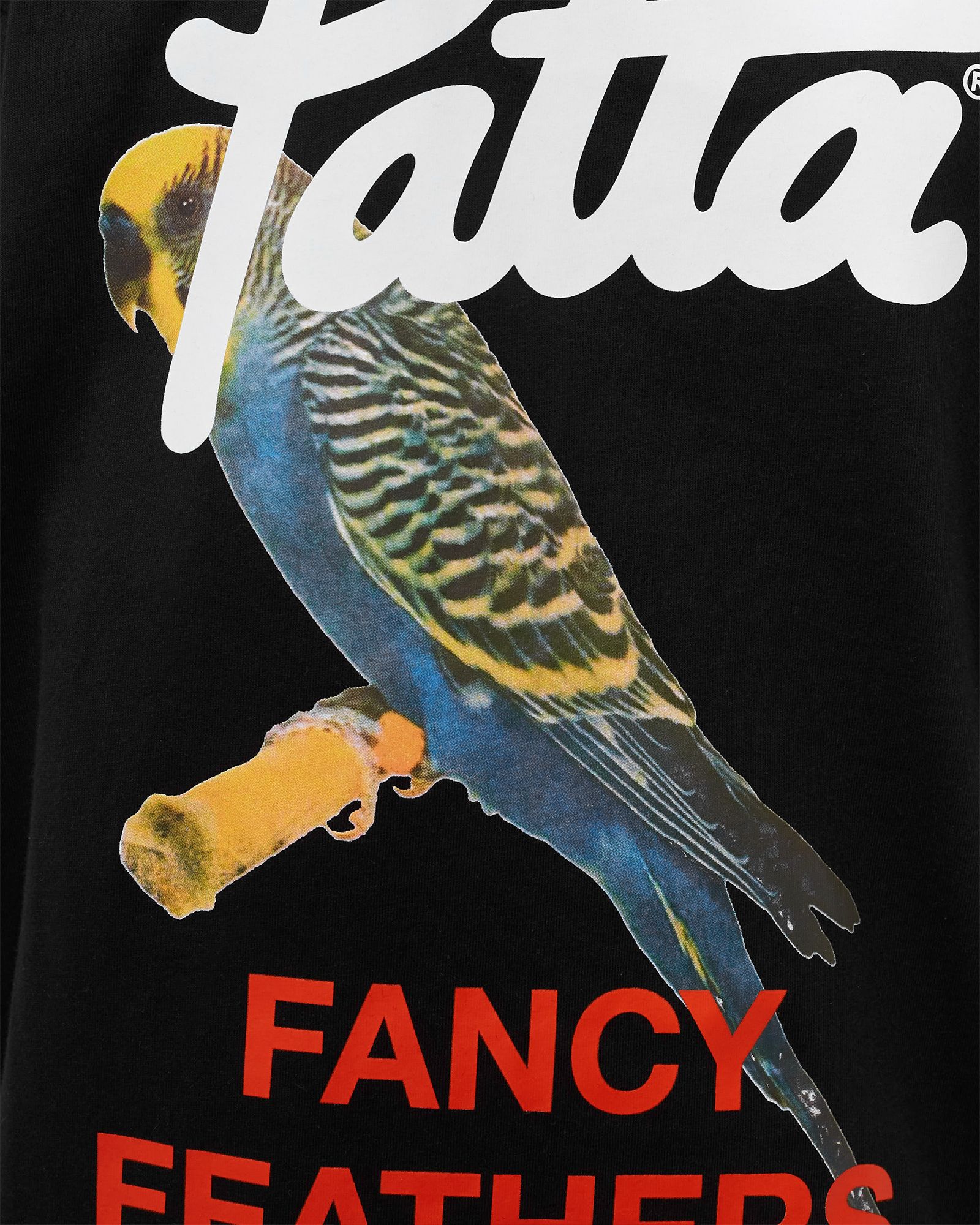 Fancy Feathers T-Shirt