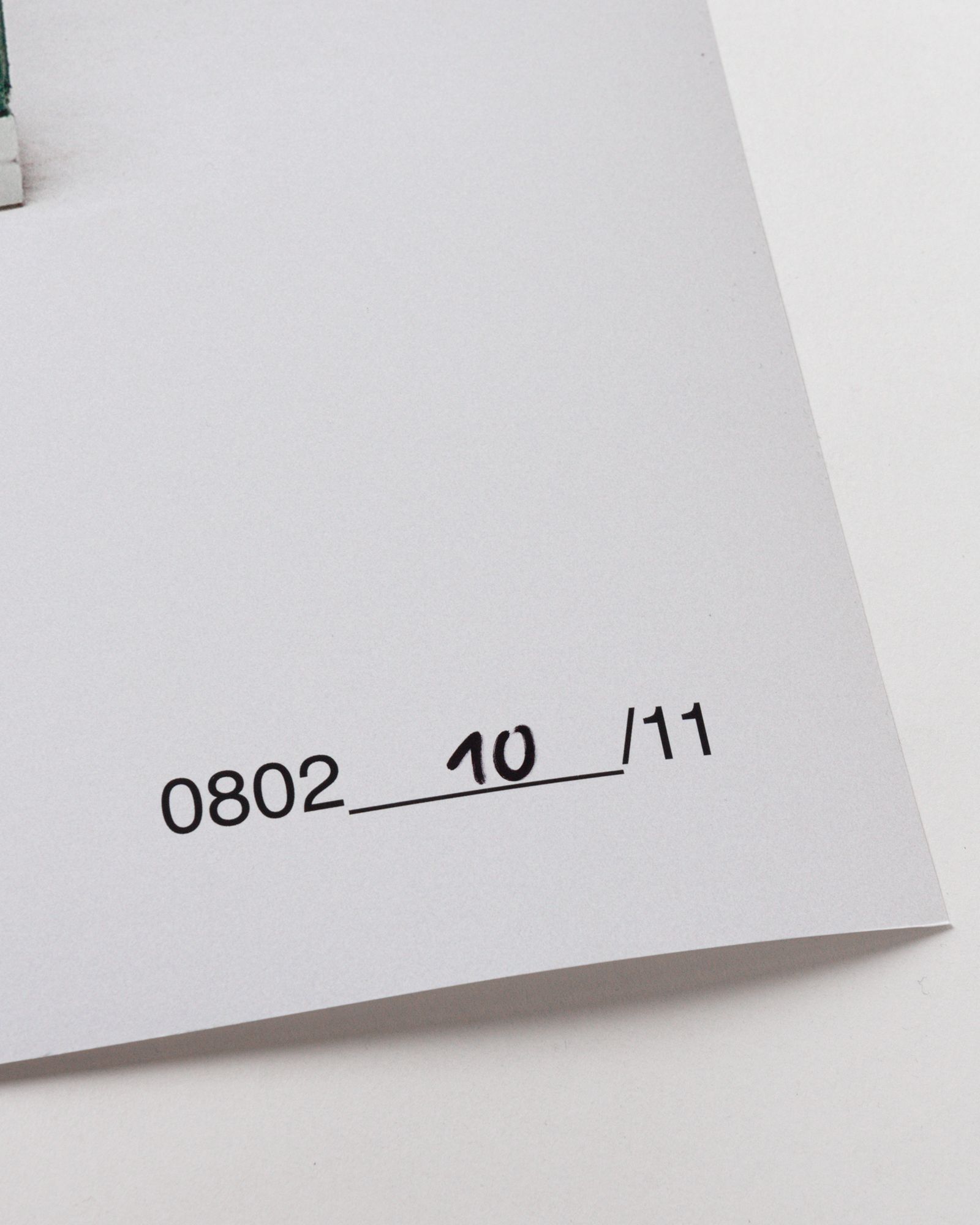 Floral Artwork Print by Paula Buchta