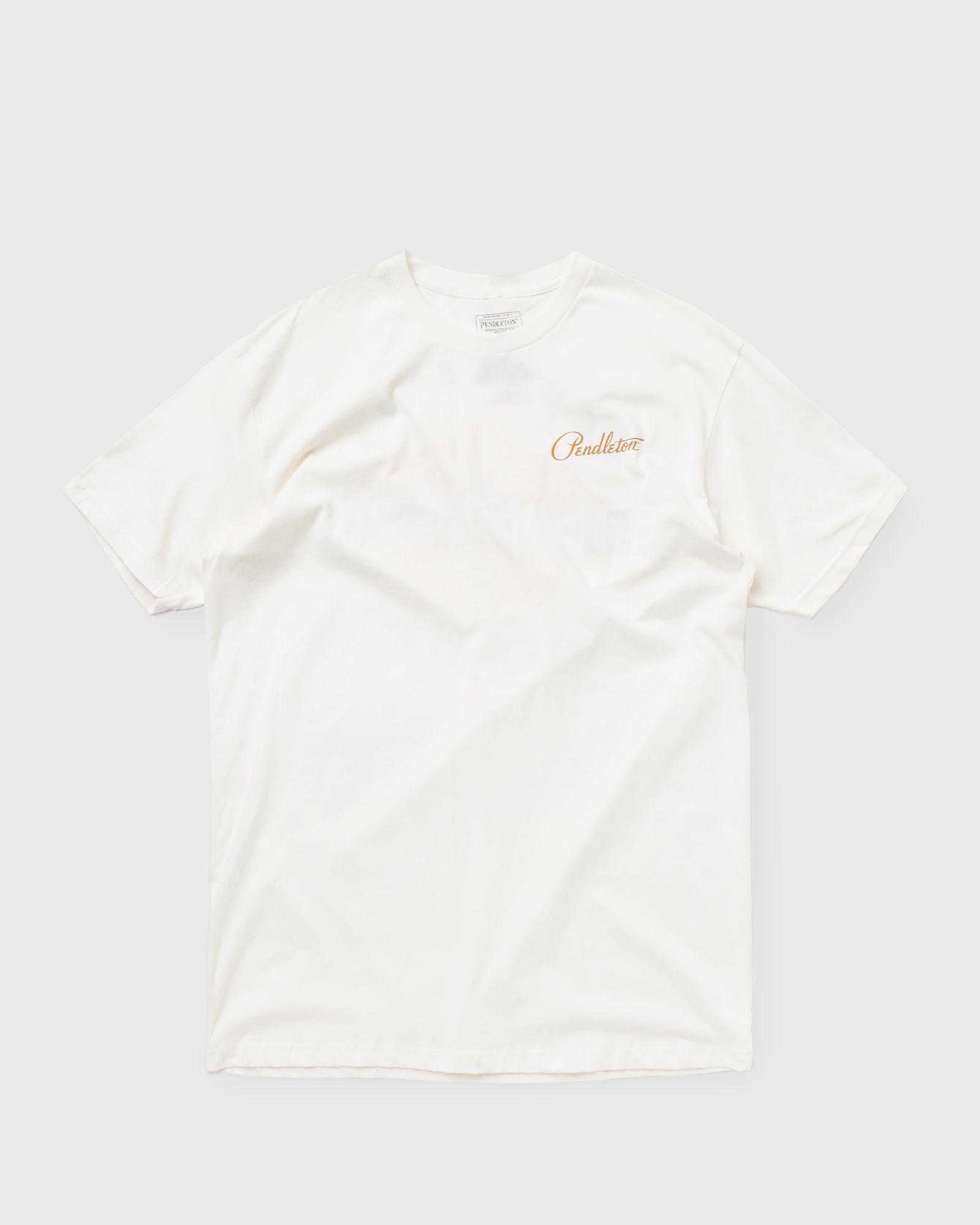 Pinto Mountains Graphic Tee 