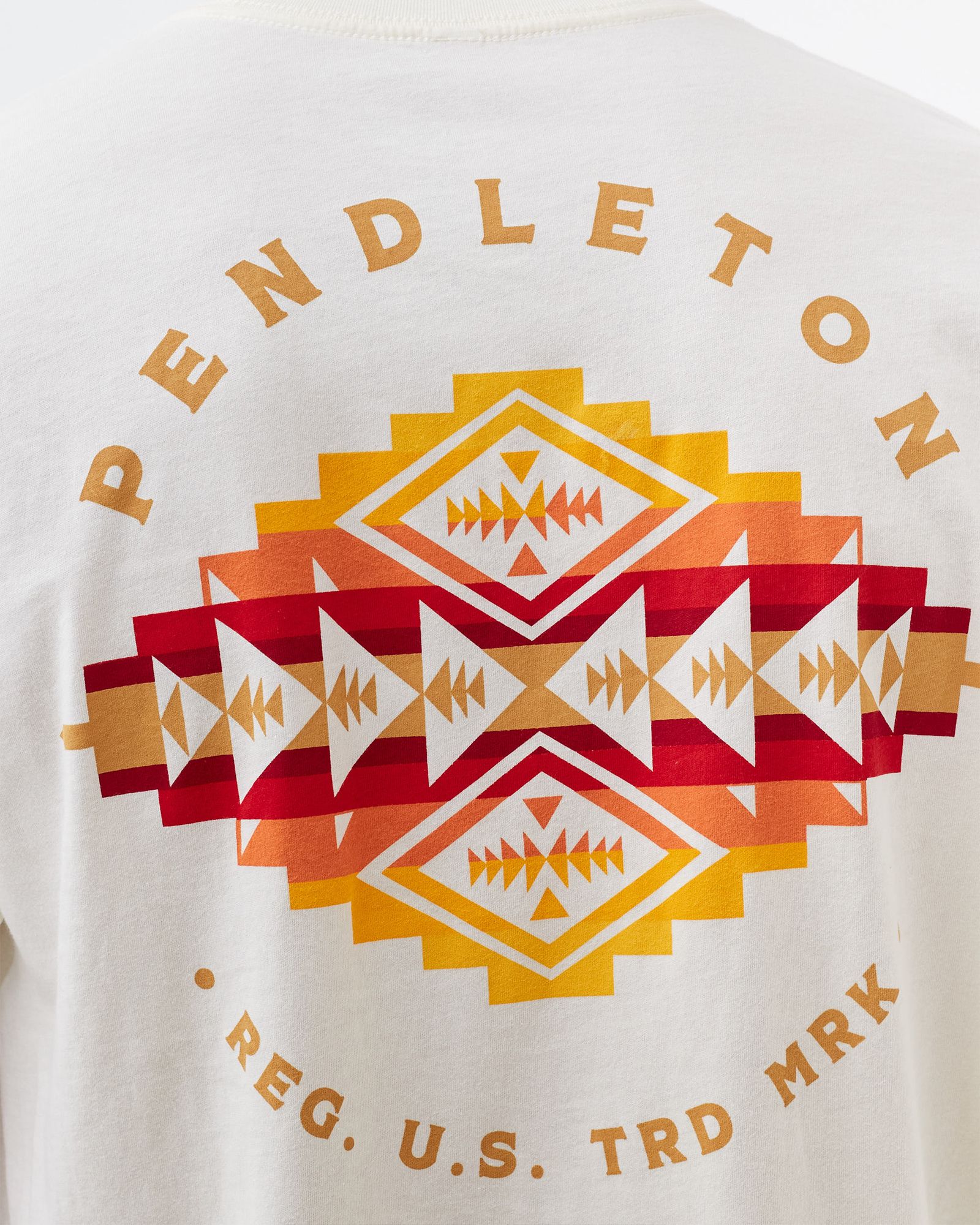 Pinto Mountains Graphic Tee 