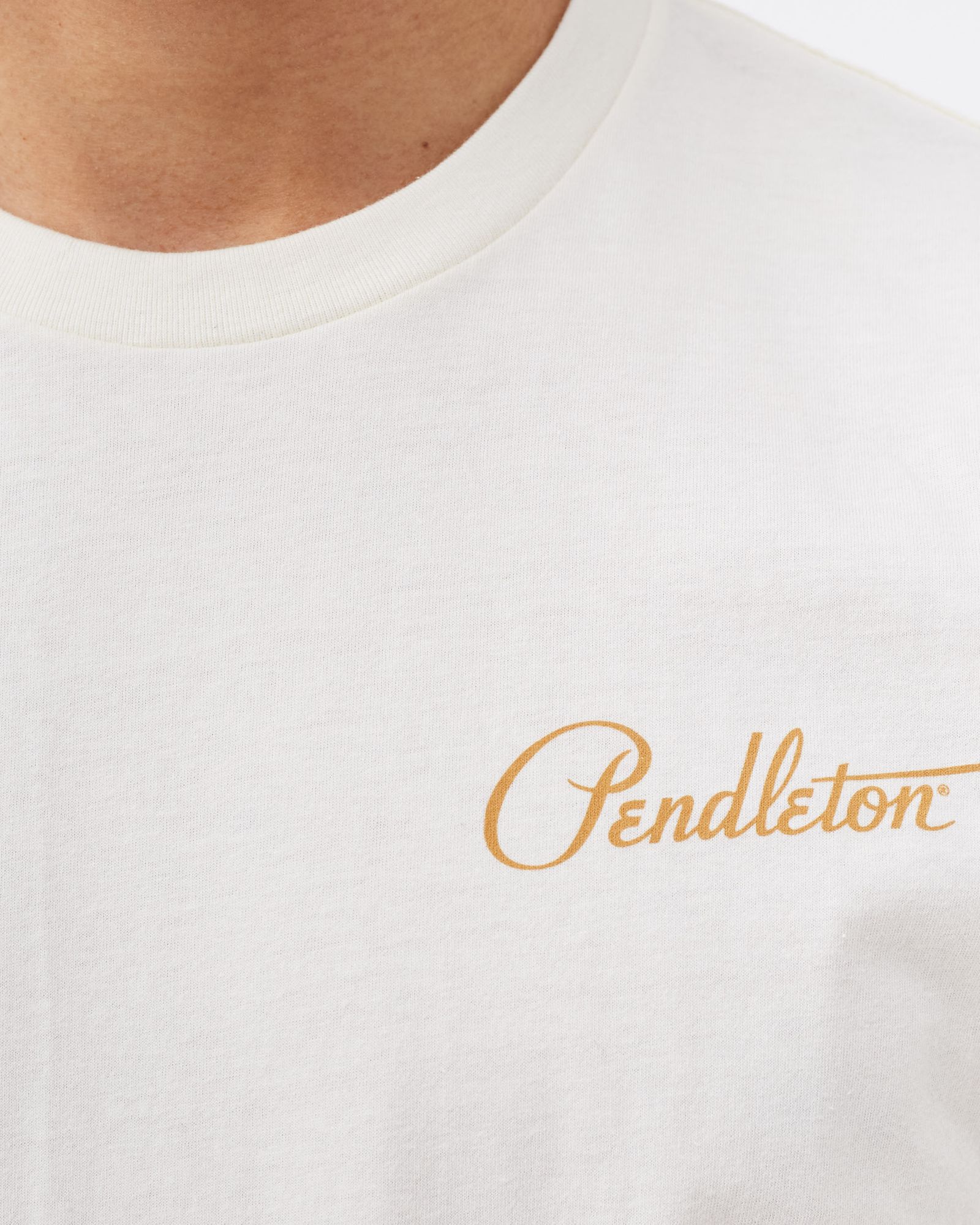 Pinto Mountains Graphic Tee 