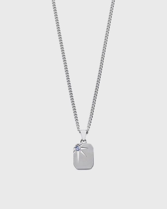 Silver Guardian Necklace