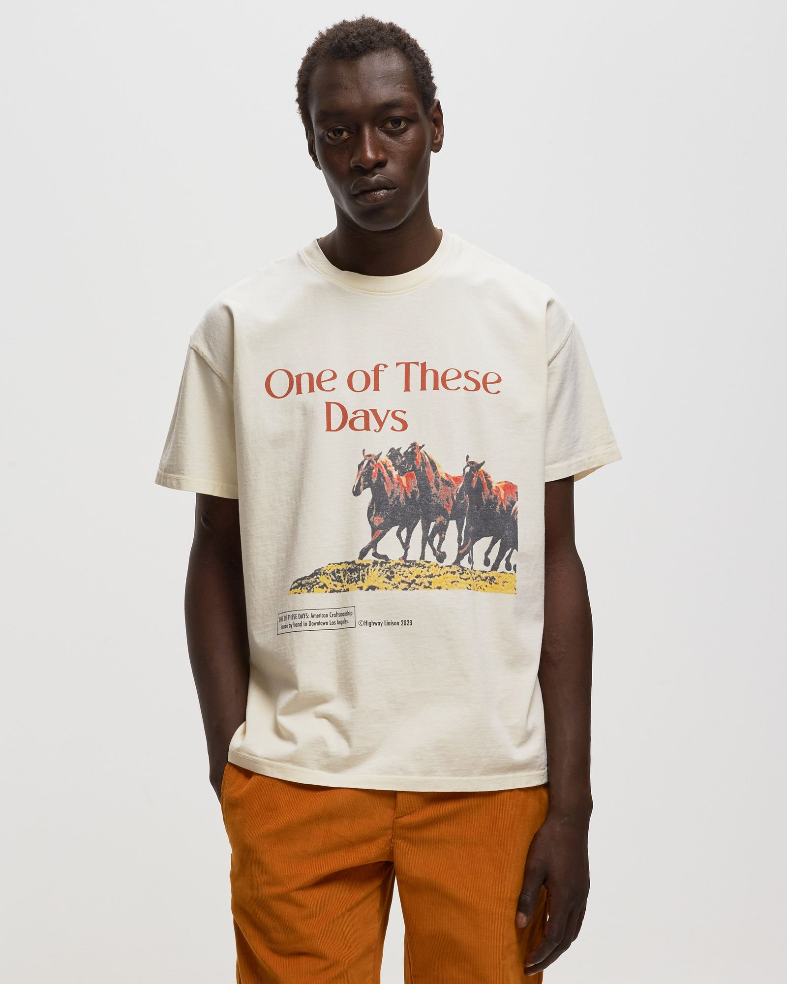 WILD HORSES T-SHIRT