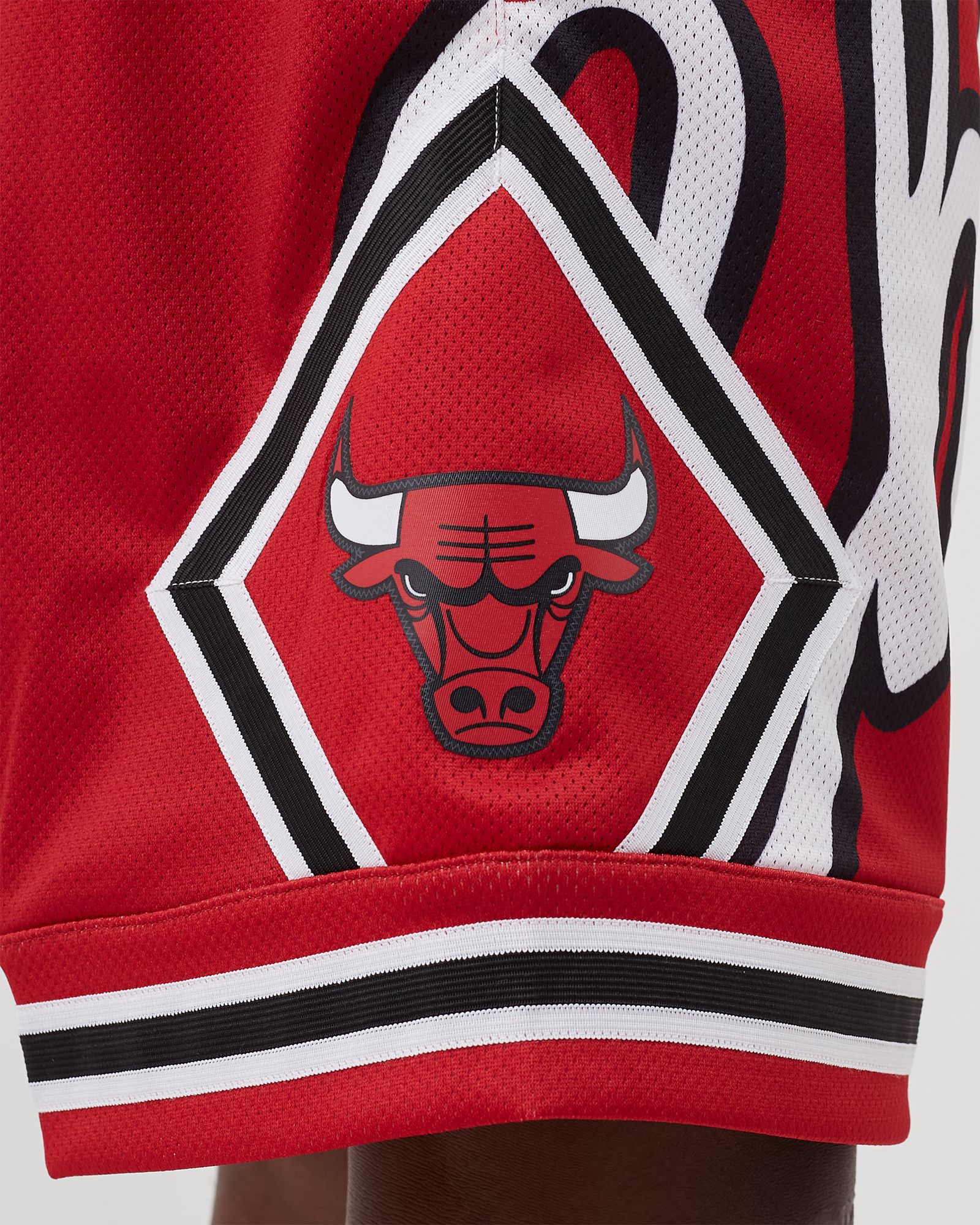 Big Face 2.0 Shorts Chicago Bulls