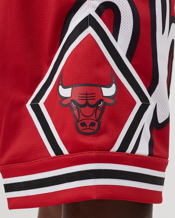 Big Face 2.0 Shorts Chicago Bulls