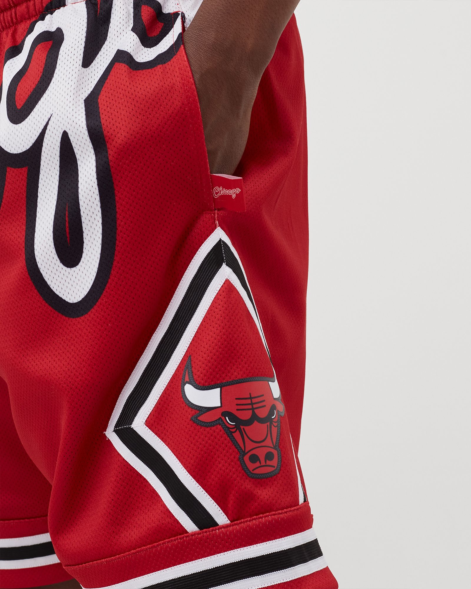 Big Face 2.0 Shorts Chicago Bulls