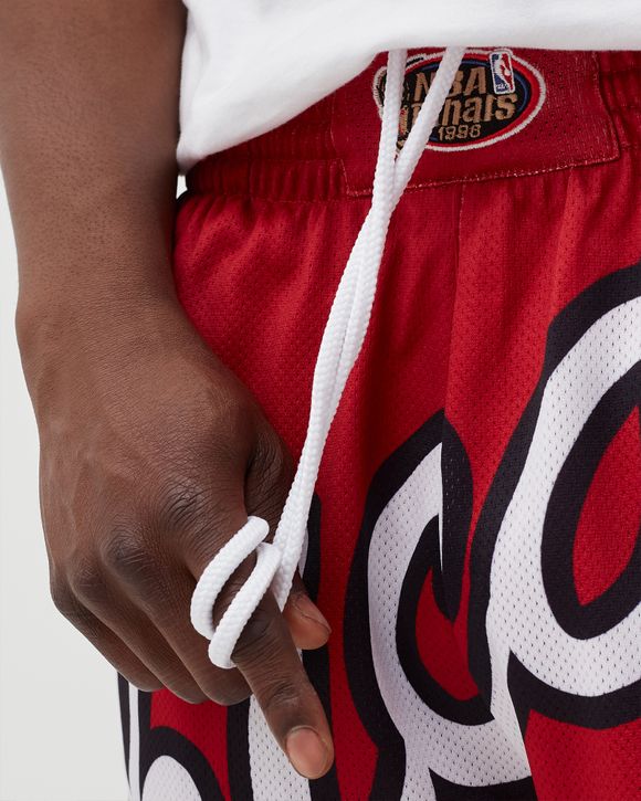 Big Face 2.0 Shorts Chicago Bulls