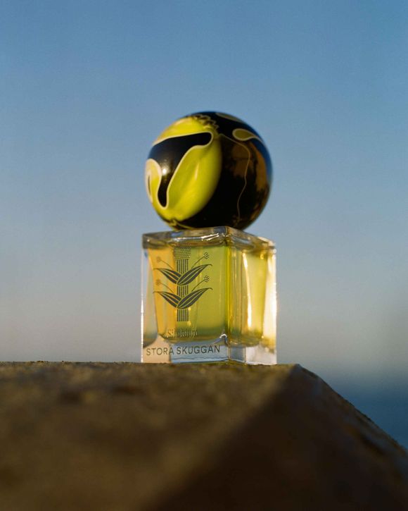 Silphium - 30 ML