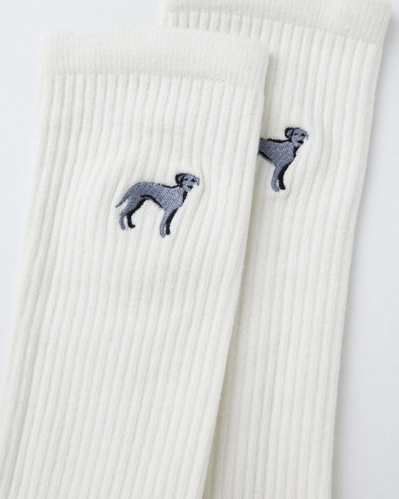 SOCKS MAIN
