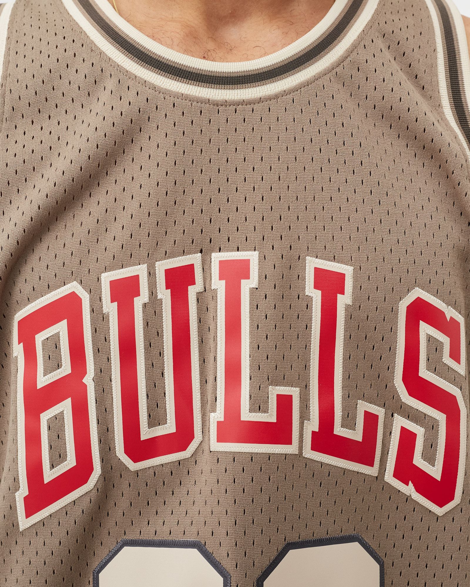 ASTRO SWINGMAN JERSEY - CHICAGO BULLS