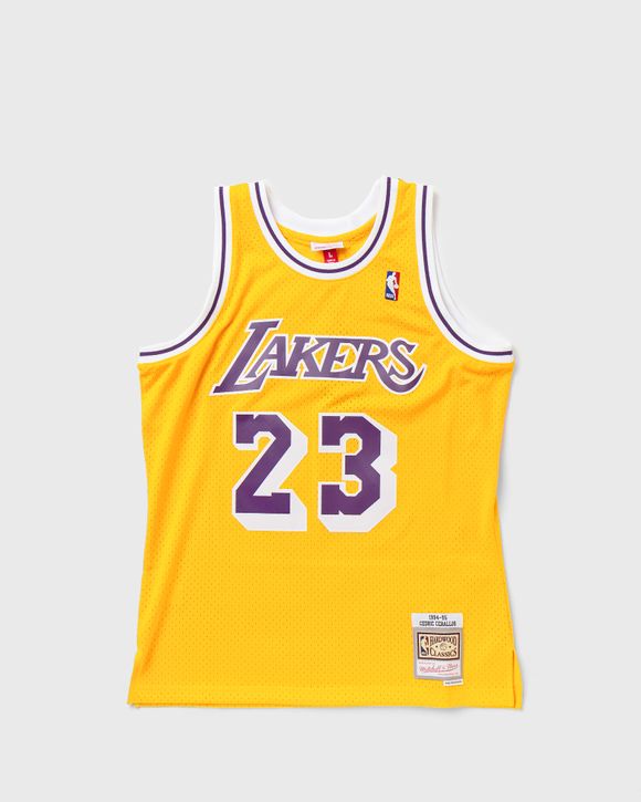 Los Angeles Lakers Icon Edition 2022/23 Nike Men's Dri-Fit ADV NBA Authentic Jersey in Yellow, Size: 44 | DM6028-731