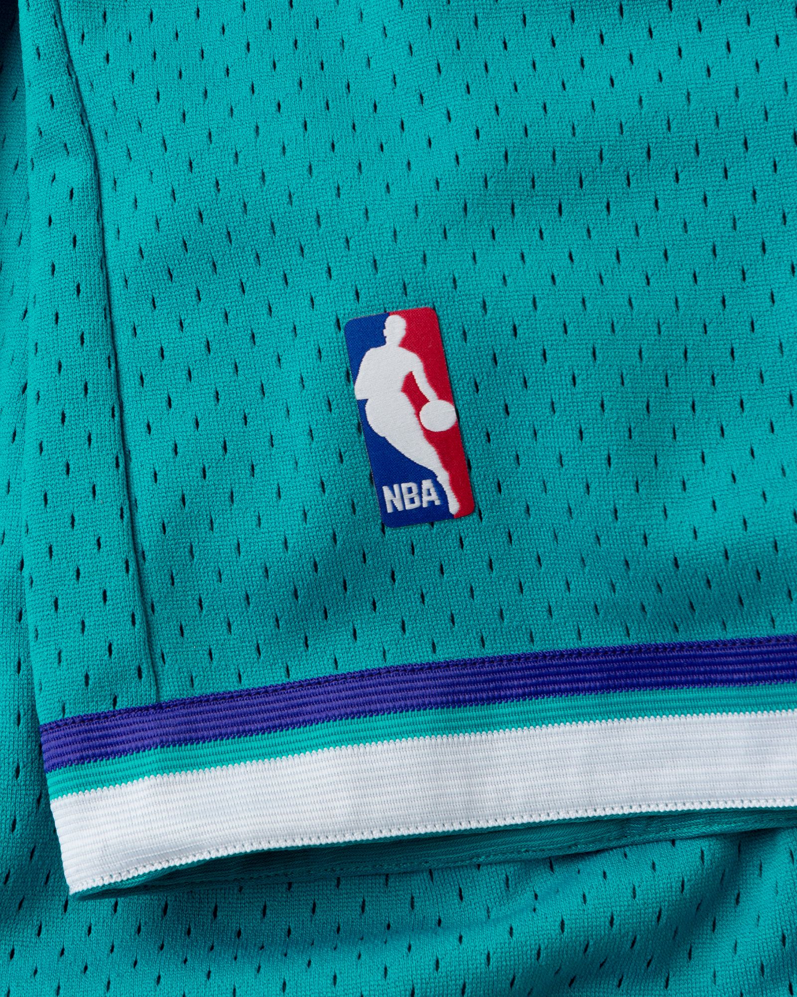 NAB Swingman Shorts Charlotte Hornets Road 1992-93