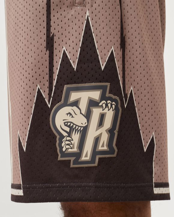 Mitchell & Ness ASTRO SWINGMAN SHORT - TORONTO RAPTORS Brown - GREY