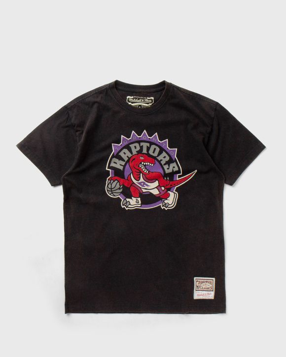 Worn Logo Tee Toronto Raptors