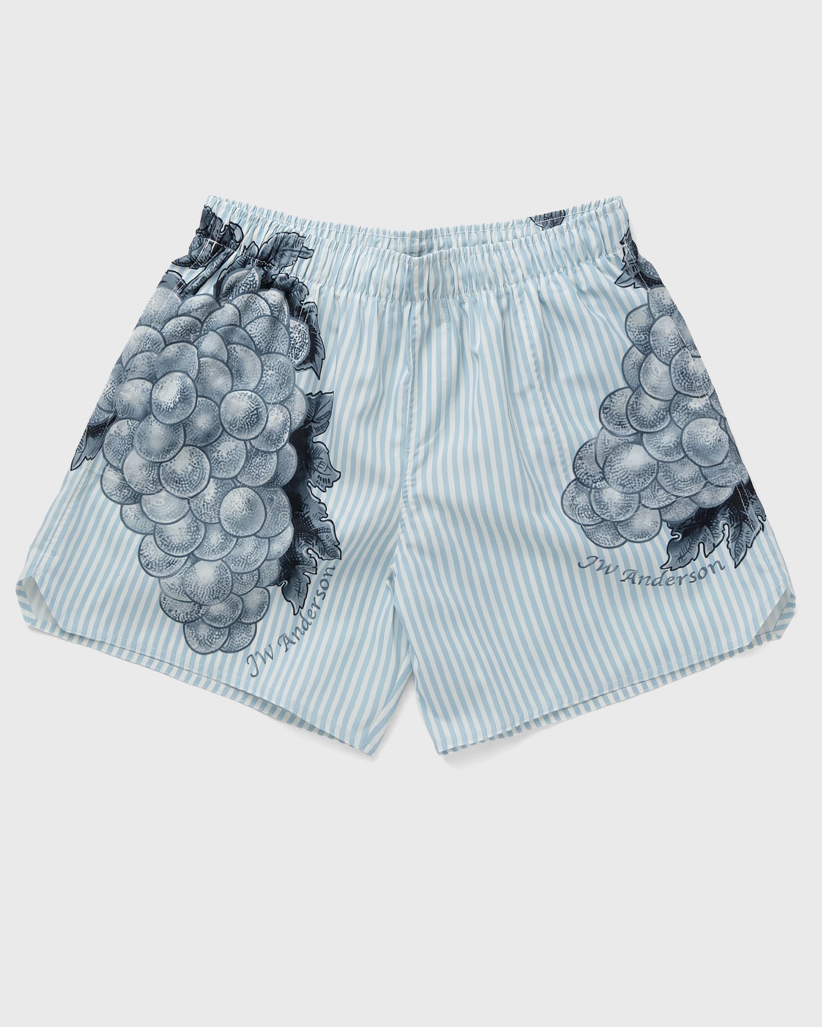 GRAPE SWIM SHORTS