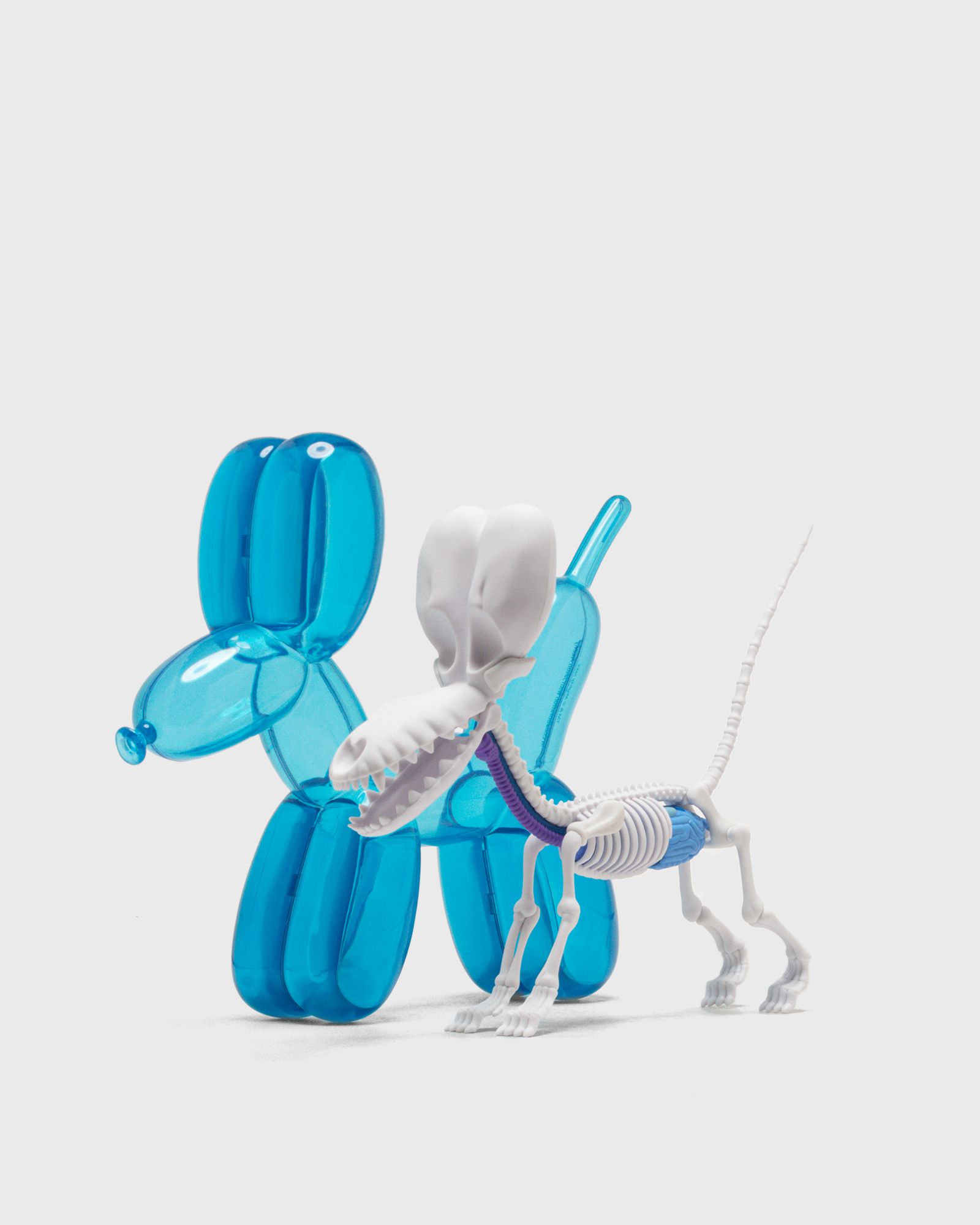 Funny Anatomy Balloon Dog (Sky Blue Edition)