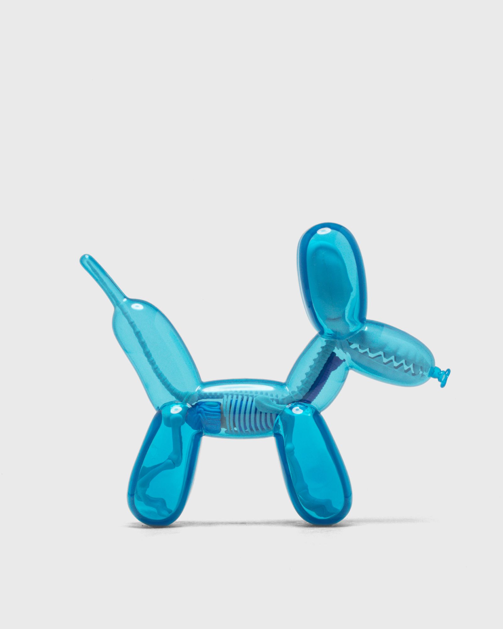 Funny Anatomy Balloon Dog (Sky Blue Edition)
